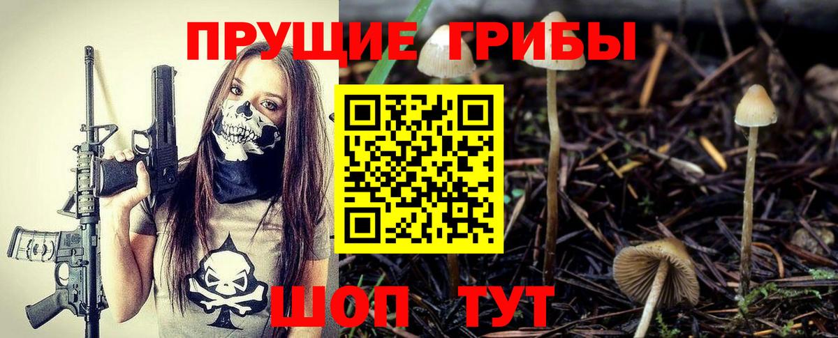 Ухта  Псилоцибиновые грибы Cubensis  где купить наркоту  Вход с VPN 