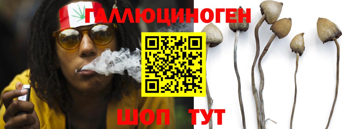 Псилоцибиновые грибы мицелий Ухта