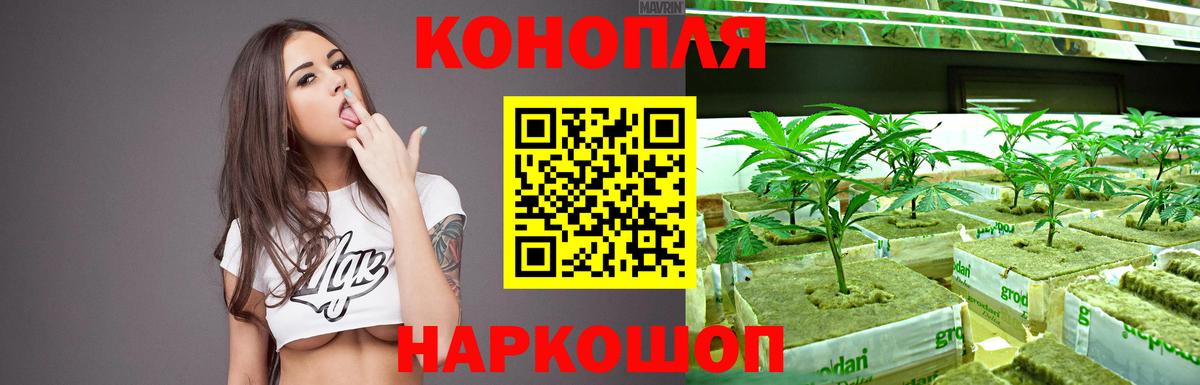 МАРИХУАНА ГИДРОПОН  Бошки Шишки SATIVA & INDICA  Канабис Amnesia  Вход с VPN  Канабис SATIVA & INDICA  Ухта 